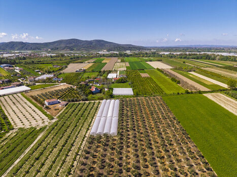 Aerial view of agricultural fields greenhouses and olive groves in the rural landscape of Lushnje Fier County Albania. Aerial view of agricultural fields greenhouses and olive groves in the rural landscape of Lushnje Fier County Albania.