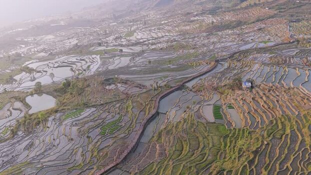 Aerial view of Samaba Rice Terraces China.