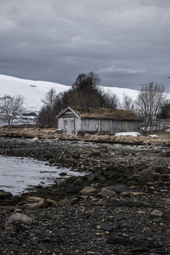 View of a traditional wooden boathouse with a sod roof on a rocky shoreline with snow capped mountains in the background in Tromso Troms Norway.