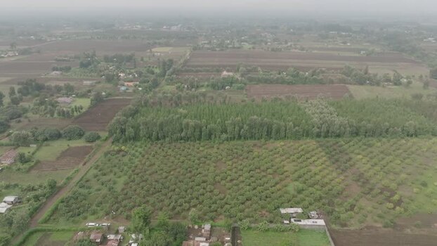 Aerial view of farmlands and trees Kenya.