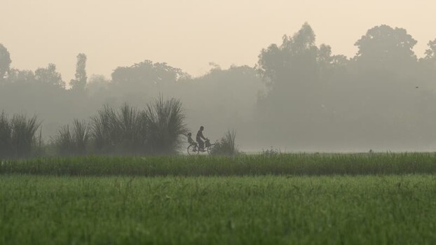 View of a person cycling through misty fields in Bogura Bangladesh.