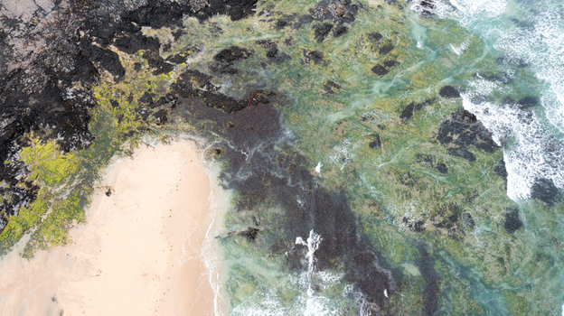 Aerial view of Constantine Bay featuring a sandy beach dark rocky outcrops covered in green algae and clear turquoise water in Padstow Cornwall United Kingdom. Aerial view of Constantine Bay featuring a sandy beach dark rocky outcrops covered in green algae and clear turquoise water in Padstow Cornwall United Kingdom.