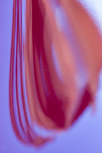 View of a blurred red fabric with soft textures and flowing lines against a cool blue background Dronten Flevoland Netherlands. View of a blurred red fabric with soft textures and flowing lines against a cool blue background Dronten Flevoland Netherlands.