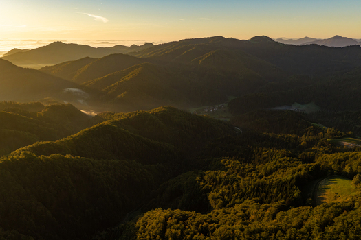 Aerial view of the rolling hills and dense forests of Jamnik bathed in the warm golden light of sunrise in Jamnik Kranj Slovenia.
