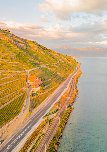 Aerial view of the terraced vineyards of Lavaux bathed in golden hour light with a coastal road and railway line running along Lake Geneva in Bourg en Lavaux Vaud Switzerland. Aerial view of the terraced vineyards of Lavaux bathed in golden hour light with a coastal road and railway line running along Lake Geneva in Bourg en Lavaux Vaud Switzerland.