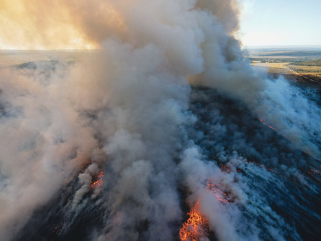 Aerial view of a massive wildfire with thick plumes of smoke and glowing fire lines across the landscape Waterberg District Municipality Limpopo South Africa.