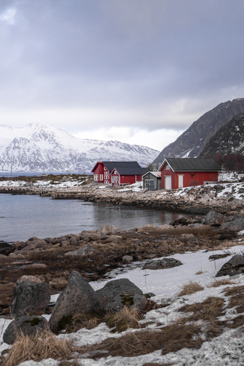 View of traditional red wooden houses along a rocky shoreline with snow capped mountains under a cloudy sky in Kvaloya Troms Norway. View of traditional red wooden houses along a rocky shoreline with snow capped mountains under a cloudy sky in Kvaloya Troms Norway.