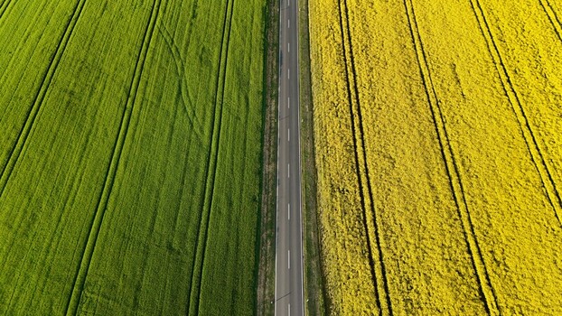 Aerial view of a straight asphalt road dividing vibrant green crops and bright yellow rapeseed fields in Butlar Thuringia Germany. Aerial view of a straight asphalt road dividing vibrant green crops and bright yellow rapeseed fields in Butlar Thuringia Germany.