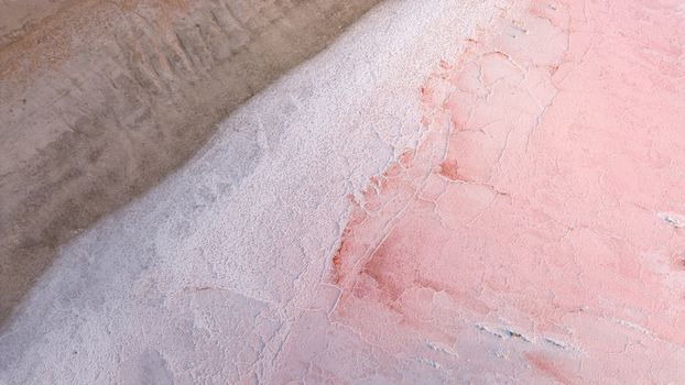 Aerial view of cracked pink salt crust and pale mineral layers forming an intricate organic pattern in France. Aerial view of cracked pink salt crust and pale mineral layers forming an intricate organic pattern in France.