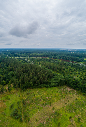 Aerial view of a lush forest landscape with dense green trees and sparse vegetation under a cloudy sky in Latvia. Aerial view of a lush forest landscape with dense green trees and sparse vegetation under a cloudy sky in Latvia.