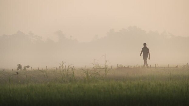 View of a man walking through a foggy field in Bogura Bangladesh. View of a man walking through a foggy field in Bogura Bangladesh.
