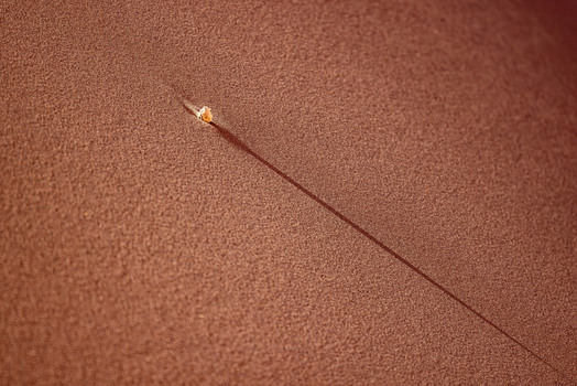 View of a small stone casting a long shadow on the textured surface of a red sand dune in the Valley of the Moon San Pedro de Atacama Antofagasta Chile. View of a small stone casting a long shadow on the textured surface of a red sand dune in the Valley of the Moon San Pedro de Atacama Antofagasta Chile.