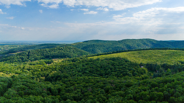 Aerial view of lush green rolling hills and dense forest under a bright blue sky with scattered clouds Novi Sad Vojvodina Serbia. Aerial view of lush green rolling hills and dense forest under a bright blue sky with scattered clouds Novi Sad Vojvodina Serbia.