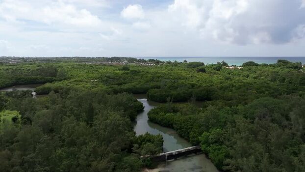 Aerial view of Cap Malheureux and river in Mauritius.