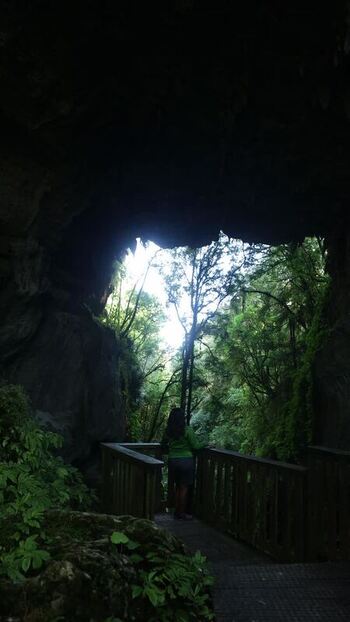 View of a cave exit leading to a lush forest New Zealand.