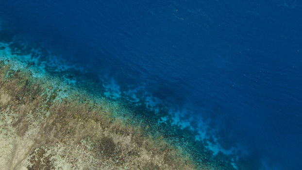 Aerial view of the vibrant coral reef and turquoise shallow waters meeting the deep blue ocean in Raja Ampat Southwest Papua Indonesia.