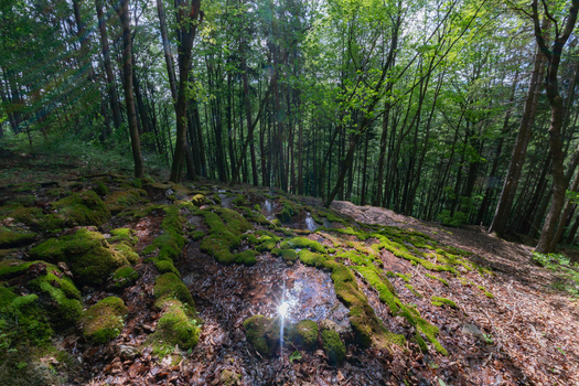 View of Pancierovske travertines with mossy rocks and small water pools reflecting sunlight in a lush forest Banska Bystrica Banskobystricky kraj Slovakia. View of Pancierovske travertines with mossy rocks and small water pools reflecting sunlight in a lush forest Banska Bystrica Banskobystricky kraj Slovakia.