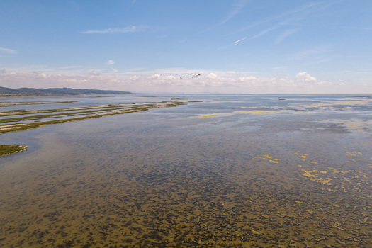 Aerial view of Karavasta Lagoon featuring shallow waters sandbars and a flock of birds under a clear blue sky in Divjake Fier County Albania.