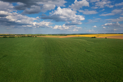 Aerial view of vibrant green crops meeting golden fields under a bright sky dotted with fluffy clouds Chyhyryns kyi district Cherkasy Oblast Ukraine. Aerial view of vibrant green crops meeting golden fields under a bright sky dotted with fluffy clouds Chyhyryns kyi district Cherkasy Oblast Ukraine.