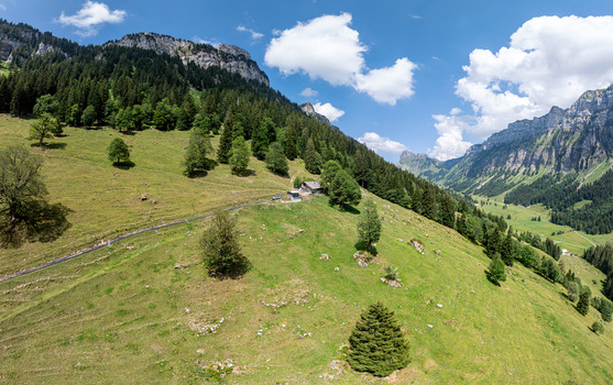 Aerial view of Justistal valley near Niederhorn with lush green alpine meadows scattered trees and rocky mountain peaks in Sigriswil Bern Switzerland. Aerial view of Justistal valley near Niederhorn with lush green alpine meadows scattered trees and rocky mountain peaks in Sigriswil Bern Switzerland.