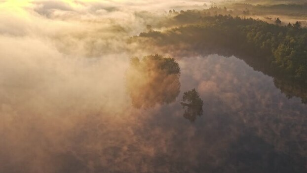 Aerial view of Venekotensee lake in the morning mist Germany.