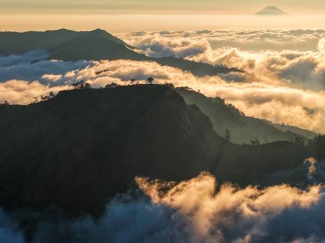 Aerial view of Dieng Plateau mountains rising above a thick sea of clouds during sunrise with golden light illuminating the peaks in Indonesia.