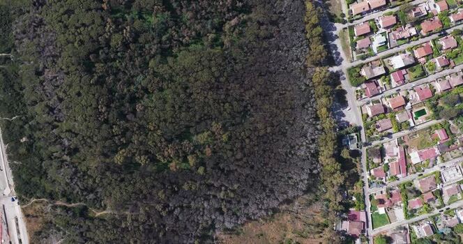Aerial view of a dense forest and residential houses Italy.