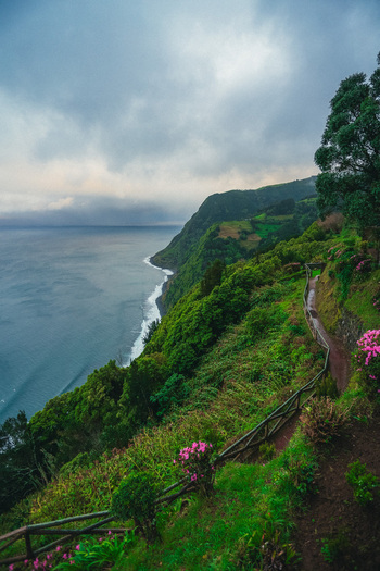 Aerial view of the verdant coastline where the land meets the dark ocean with vibrant pink flowers dotting the landscape near the winding path Azores Azores Portugal.