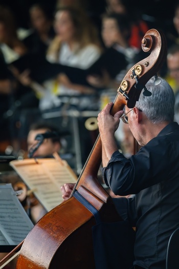 Lisboa Portugal 05 September 2026 View of a musician playing the double bass during an orchestral performance with other musicians in the background. Lisboa Portugal 05 September 2026 View of a musician playing the double bass during an orchestral performance with other musicians in the background.