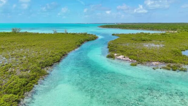 Aerial view of turquoise water and mangroves The Bahamas.