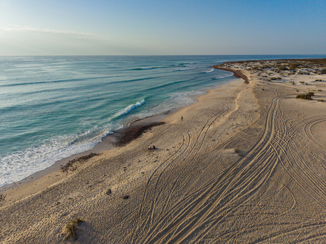 Aerial view of the beach and turquoise sea meeting the sandy shore marked by vehicle tracks Kadrihnitin Socotra Yemen. Aerial view of the beach and turquoise sea meeting the sandy shore marked by vehicle tracks Kadrihnitin Socotra Yemen.