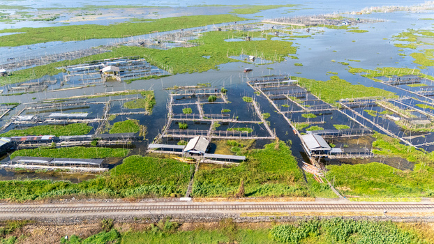 Aerial view of Lake Rawa Pening with fish farming enclosures wooden structures and water hyacinths with a railway track in the foreground in Waduk Rawapening Central Java Indonesia. Aerial view of Lake Rawa Pening with fish farming enclosures wooden structures and water hyacinths with a railway track in the foreground in Waduk Rawapening Central Java Indonesia.