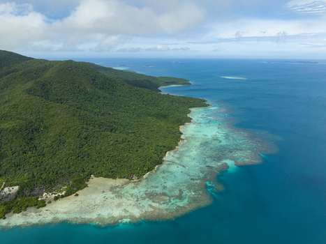 Aerial view of the lush green island meeting the turquoise sea a symphony of nature s palette Karimunjawa Central Java Indonesia.