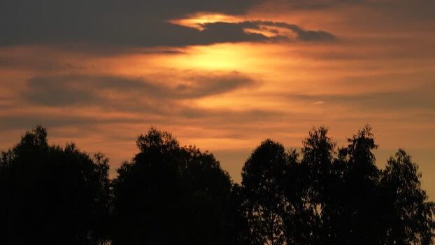 View of sunset over silhouetted trees in Bogura Bangladesh. View of sunset over silhouetted trees in Bogura Bangladesh.