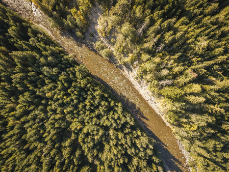 Aerial view of the Bialka River winding through a dense coniferous forest with rocky banks and sunlight filtering through the trees in Jurgow Lesser Poland Voivode Poland. Aerial view of the Bialka River winding through a dense coniferous forest with rocky banks and sunlight filtering through the trees in Jurgow Lesser Poland Voivode Poland.