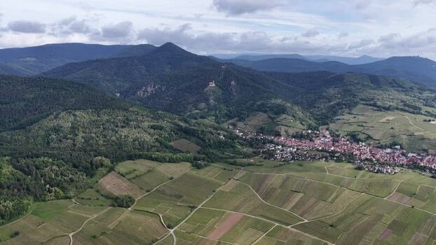 Aerial view of Ribeauville town and lush green vineyards France. Aerial view of Ribeauville town and lush green vineyards France.