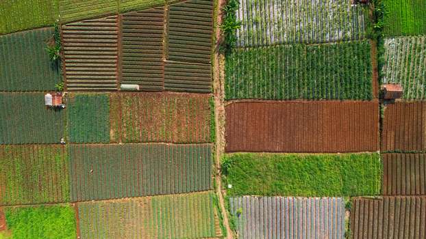 Aerial view of vibrant agricultural fields with rectangular crop plots small farm huts and a narrow dirt path Sukabumi West Java Indonesia. Aerial view of vibrant agricultural fields with rectangular crop plots small farm huts and a narrow dirt path Sukabumi West Java Indonesia.