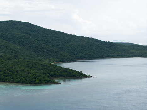 Aerial view of the lush green island meeting the tranquil turquoise sea a serene escape where nature s palette blends seamlessly Karimunjawa Central Java Indonesia.