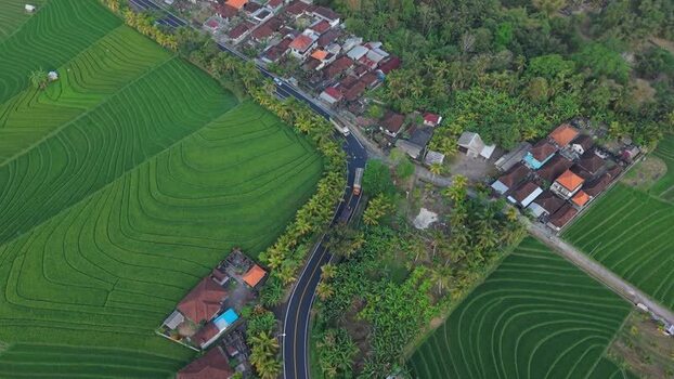 Aerial view of Soka Rice Field in Selemadeg Indonesia.