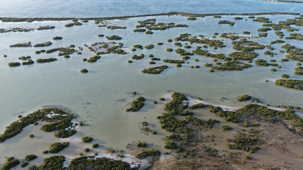 Aerial view of the Yucalpeten mangrove islands scattered across shallow coastal waters under a clear sky in Progreso Yucatan Mexico. Aerial view of the Yucalpeten mangrove islands scattered across shallow coastal waters under a clear sky in Progreso Yucatan Mexico.