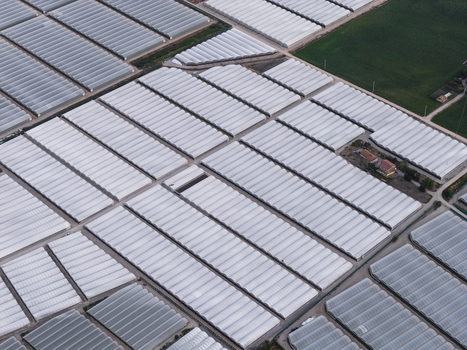 Aerial view of vast white greenhouses arranged in a geometric grid pattern across the agricultural landscape Paestum Campania Italy.