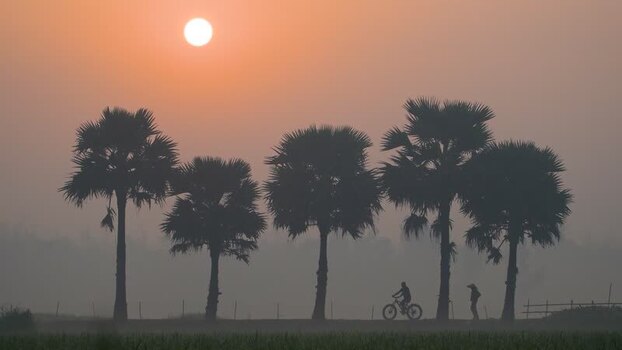 View of silhouetted palm trees and people at sunrise Bangladesh. View of silhouetted palm trees and people at sunrise Bangladesh.