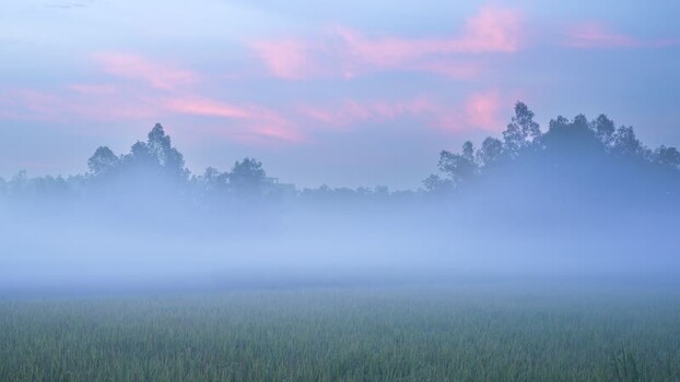 View of thick fog over rural fields in Bogura Bangladesh. View of thick fog over rural fields in Bogura Bangladesh.