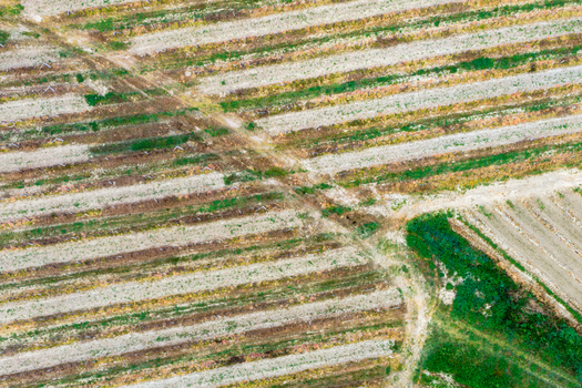 Aerial view of neatly arranged agricultural rows and dirt paths in the Valdarno valley Florence Tuscany Italy. Aerial view of neatly arranged agricultural rows and dirt paths in the Valdarno valley Florence Tuscany Italy.