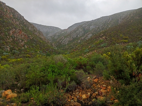 View of rugged Klein Karoo mountains and semi arid plains with rocky foreground and native shrubs under an overcast sky in Robertson Western Cape South Africa. View of rugged Klein Karoo mountains and semi arid plains with rocky foreground and native shrubs under an overcast sky in Robertson Western Cape South Africa.