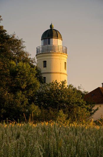 View of Kegnaes Fyr lighthouse with its yellow brick tower and dark dome rising above lush green trees and a golden wheat field in the warm evening light in Sydals Syddenmark Denmark.