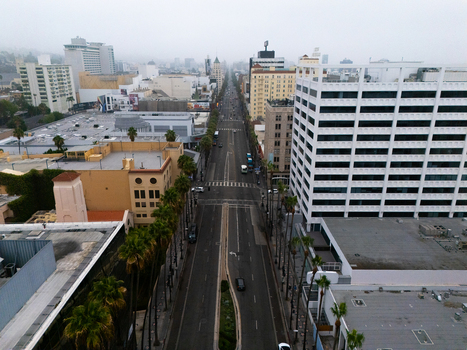 Aerial view of the Hollywood Walk of Fame lined with palm trees and urban architecture in Los Angeles California United States.