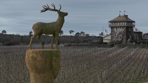 Aerial view of the Stag statue in Chateau Smith Haut Lafitte vineyards France.