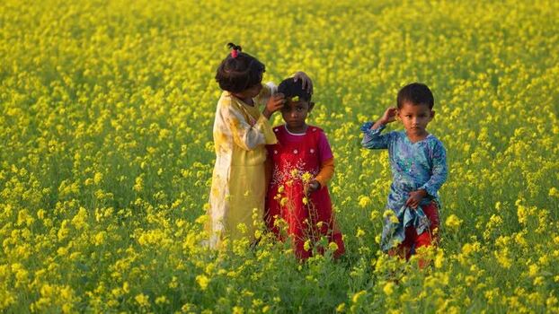 View of children in a yellow mustard field Bangladesh. View of children in a yellow mustard field Bangladesh.
