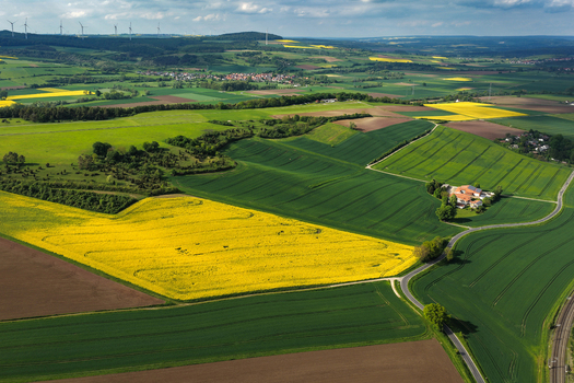 Aerial view of rolling hills and vibrant yellow rapeseed fields with a winding road and distant wind turbines Hofgeismar Hessen Germany. Aerial view of rolling hills and vibrant yellow rapeseed fields with a winding road and distant wind turbines Hofgeismar Hessen Germany.